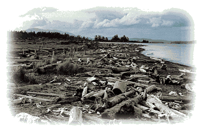 Island View Beach - Photo/Graphic by K. Slagboom 1992